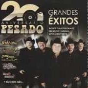 The lyrics MITAD Y MITAD of PESADO is also present in the album Exitos (2007)