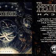 The lyrics DISSOLVE of PESTILENCE is also present in the album Doctrine (2011)