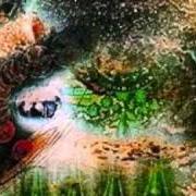 The lyrics LET THERE BE MORE LIGHT of PINK FLOYD is also present in the album A saucerful of secrets (1968)