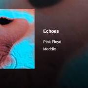 The lyrics SORROW of PINK FLOYD is also present in the album Echoes (disc 1) (2001)