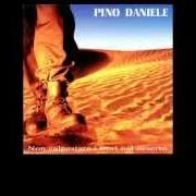 The lyrics IO PER LEI of PINO DANIELE is also present in the album Non calpestare i fiori nel deserto (1995)