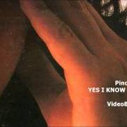 The lyrics RESTA... RESTA CU'MME' of PINO DANIELE is also present in the album Yes i know my way (1998)