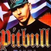 The lyrics SHE'S FREAKY of PITBULL is also present in the album Miami (2004)