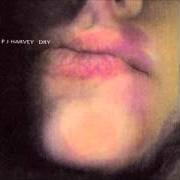 The lyrics HAPPY AND BLEEDING of PJ HARVEY is also present in the album Dry (1992)