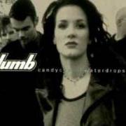 The lyrics ENDURE of PLUMB is also present in the album Simply plumb (2005)