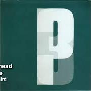 The lyrics THE RIP of PORTISHEAD is also present in the album Third (2008)