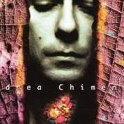 The lyrics LA FINESTRA SUL MELO of ANDREA CHIMENTI is also present in the album L'albero pazzo (1996)