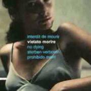 The lyrics PRIMA DELLA CENERE of ANDREA CHIMENTI is also present in the album Vietato morire (2004)