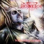 The lyrics NECROPOLIS (INSTRUMENTAL) of PROTECTOR is also present in the album A shedding of skin (1991)