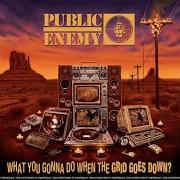 The lyrics BEAT THEM ALL of PUBLIC ENEMY is also present in the album What you gonna do when the grid goes down? (2020)