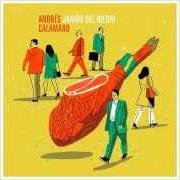 The lyrics LOS AVIONES of ANDRÉS CALAMARO is also present in the album Jamón del medio (2014)