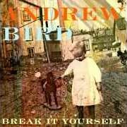 The lyrics NEAR DEATH EXPERIENCE of ANDREW BIRD is also present in the album Break it yourself (2012)