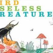 The lyrics NATURAL DISASTER of ANDREW BIRD is also present in the album Noble beast / useless creatures (2009)