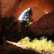 The lyrics SWEEP THE FIELD of ANDREW BIRD is also present in the album Echolocations: canyon (2015)