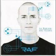 The lyrics NON E' MAI UN ERRORE of RAF is also present in the album Le ragioni del cuore (2012)