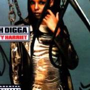 The lyrics STRAIGHT SPITTIN' PART II of RAH DIGGA is also present in the album Dirty harriet (2000)