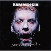 The lyrics TIER of RAMMSTEIN is also present in the album Sehnsucht (1997)