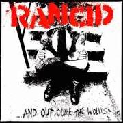 The lyrics SHE'S AUTOMATIC of RANCID is also present in the album ...And out come the wolves (1995)