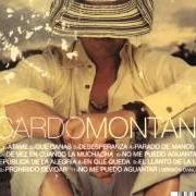 The lyrics NO ME PUEDO AGUANTAR of RICARDO MONTANER is also present in the album Prohibido olvidar (2003)