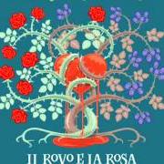 Il rovo e la rosa