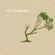 The lyrics IN THE MARGINS of ANI DIFRANCO is also present in the album Reprieve (2006)