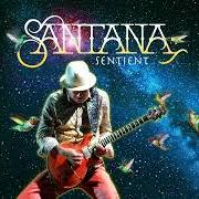 The lyrics STRANGER IN MOSCOW (LIVE) of SANTANA is also present in the album Sentient (2025)