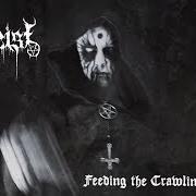 Feeding the crawling shadows Feeding the crawling shadows