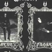 The lyrics WALK THE PATH OF SORROW of SATYRICON is also present in the album Dark medieval times (1993)