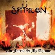 The lyrics BLACK WINDS of SATYRICON is also present in the album The forest is my throne (split w/enslaved) (1995)