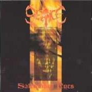 The lyrics SANCTUM of SEANCE is also present in the album Saltrubbed eyes (1993)
