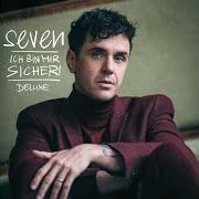 The lyrics DANKE DAFÜR of SEVEN is also present in the album Ich bin mir sicher! (deluxe edition) (2022)