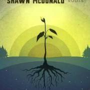 The lyrics HALLELUJAH of SHAWN MCDONALD is also present in the album Roots (2008)