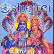 The lyrics BACK TO VRINDAVAN of SHELTER is also present in the album Eternal (2005)