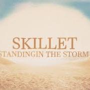 The lyrics AFTER THE STORM of SKILLET is also present in the album After the storm (2026)