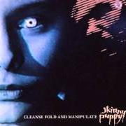 The lyrics THE MOURN of SKINNY PUPPY is also present in the album Cleanse fold & manipulate (1987)
