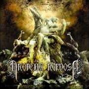 The lyrics CODEX-VERITAS of ANOREXIA NERVOSA is also present in the album Redemption process (2004)