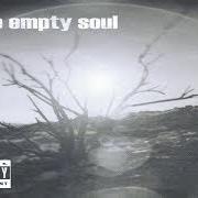 The lyrics AFTERLIFE of SMILE EMPTY SOUL is also present in the album 3's (2012)