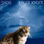 The lyrics LET'S MOVE TO THE COUNTRY of SMOG is also present in the album Knock knock (1999)