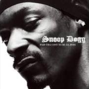 The lyrics WASN'T YOUR FAULT of SNOOP DOGG is also present in the album Paid tha cost to be tha boss (2002)