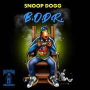 The lyrics STILL SMOKIN of SNOOP DOGG is also present in the album Bodr (2022)