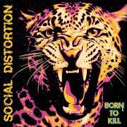 The lyrics CRAZY DREAMER of SOCIAL DISTORTION is also present in the album Born to kill (2026)