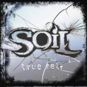 The lyrics LET GO of SOIL is also present in the album True self (2006)