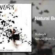 The lyrics THE FLAMEOUT of SOILWORK is also present in the album Natural born chaos (2002)