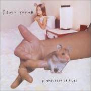 The lyrics HEATHER ANGEL of SONIC YOUTH is also present in the album A thousand leaves (1998)