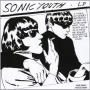 The lyrics MARY-CHRIST of SONIC YOUTH is also present in the album Goo (1990)