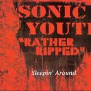The lyrics WHAT A WASTE of SONIC YOUTH is also present in the album Rather ripped (2006)