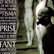 The lyrics ÜBER DEN FLUSS of SOPOR AETERNUS is also present in the album Es reiten die toten so schnell (2003)