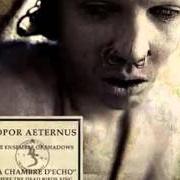 The lyrics INTERLUDE - THE QUIET EARTH of SOPOR AETERNUS is also present in the album La chambre d'echo (2004)