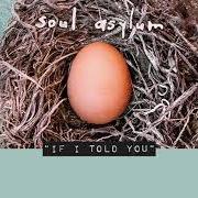 The lyrics SILLY THINGS of SOUL ASYLUM is also present in the album Hurry up and wait (2020)