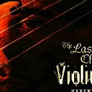 The last chair violinist